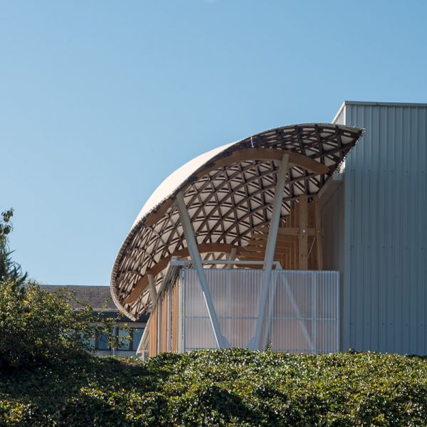 Gridshell vista completa