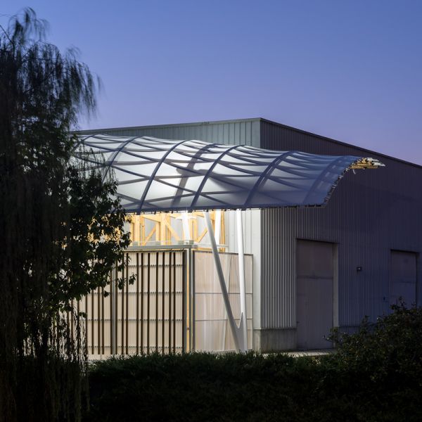 Gridshell iluminada árbores