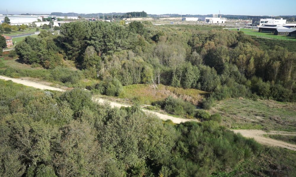 Humedal das Gándaras