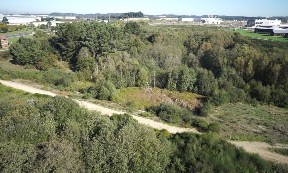 Humedal das Gándaras