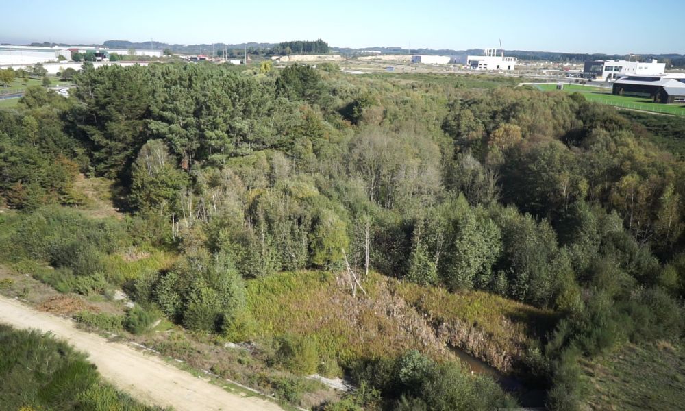 Humedal das Gándaras