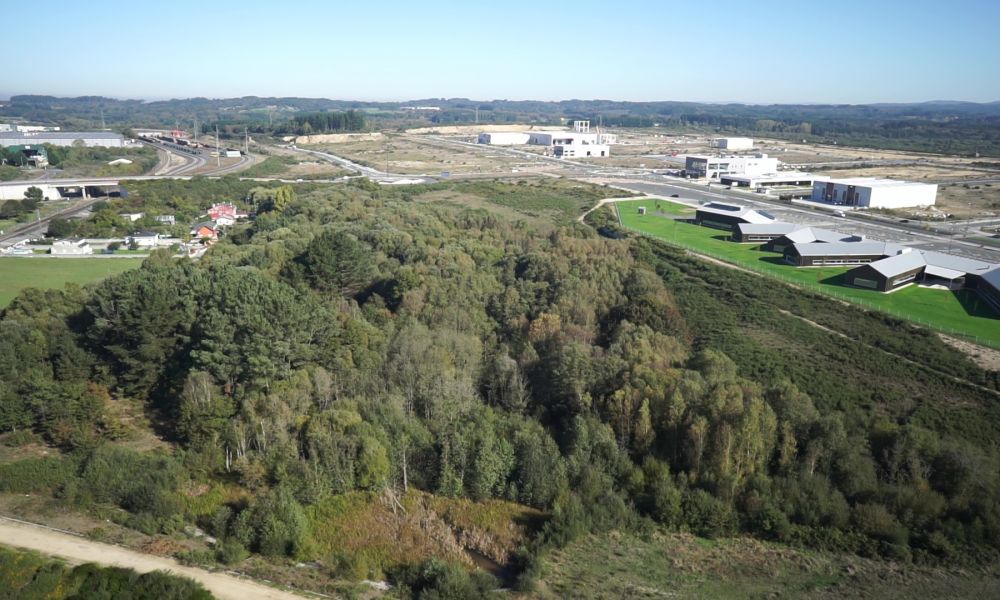 Humedal das Gándaras