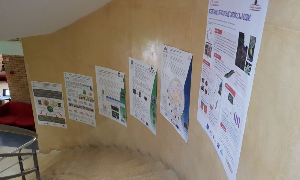 Exposición Bragança LIFE Lugo Biodinámico