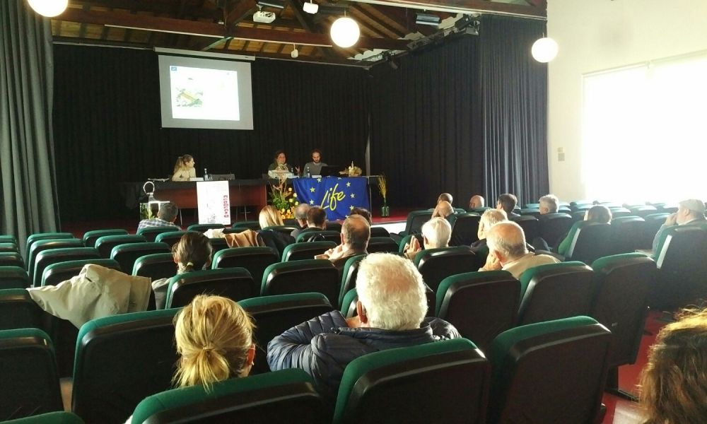 LL + B en Planifik Sarria III