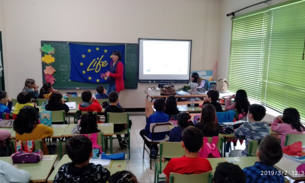 visita CEIP As Mercedes