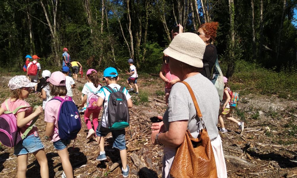 CEIP Menéndez Pelayo