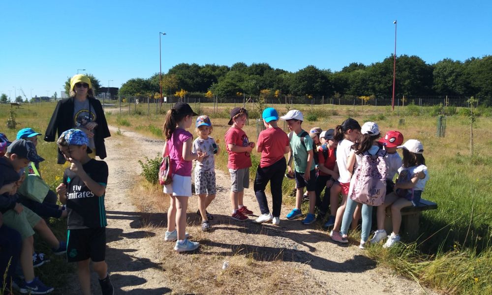 CEIP Menéndez Pelayo