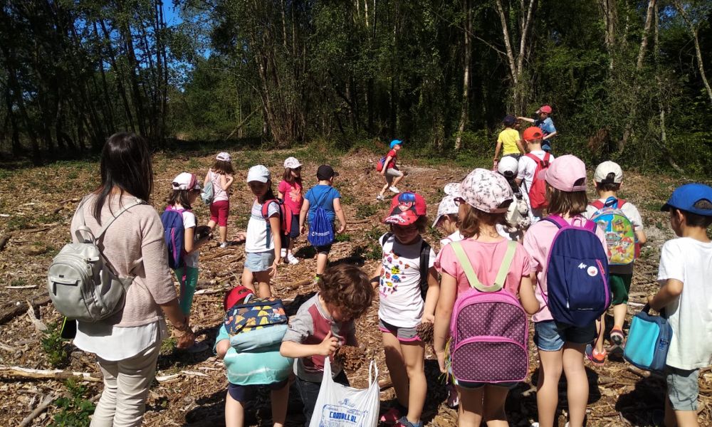 CEIP Menéndez Pelayo