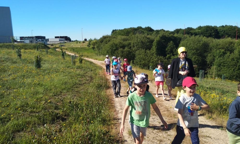 CEIP Menéndez Pelayo