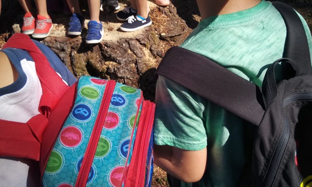 CEIP Menéndez Pelayo