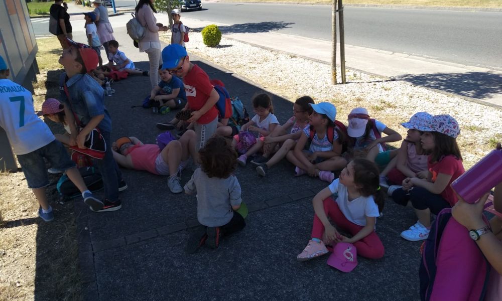 CEIP Menéndez Pelayo