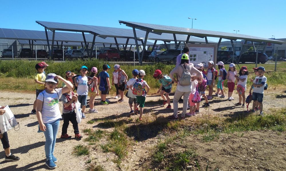 CEIP Menéndez Pelayo