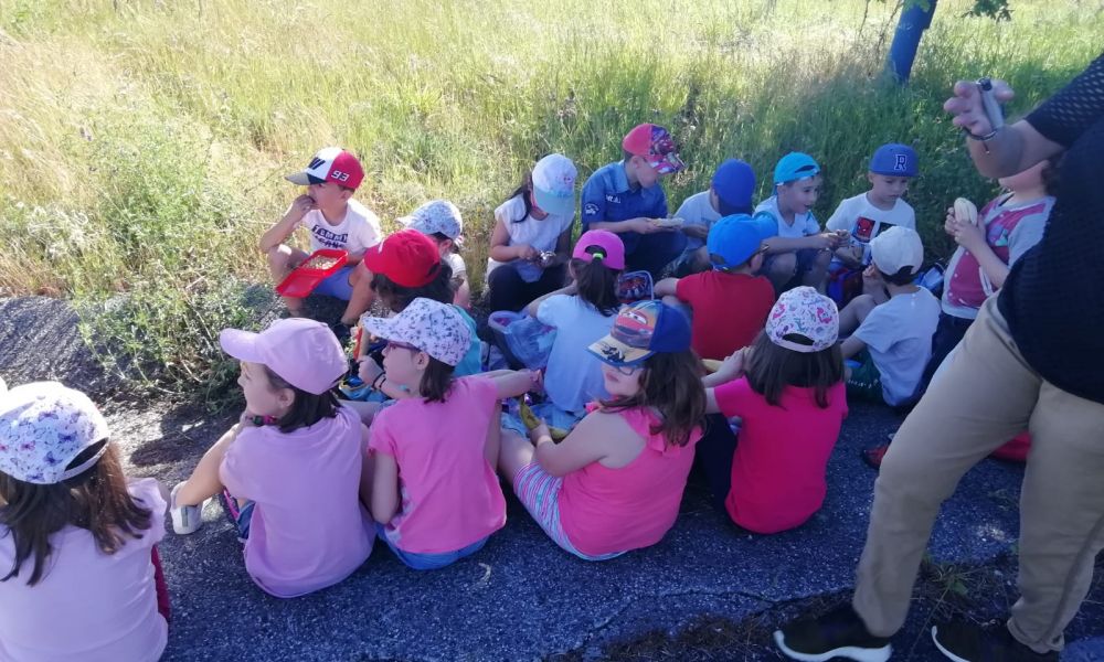 CEIP Menéndez Pelayo