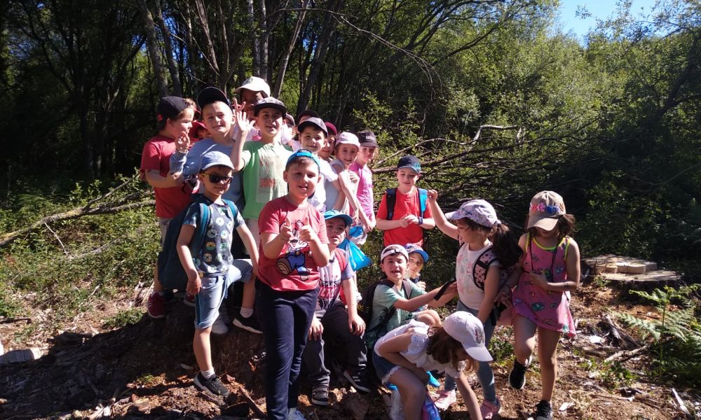 CEIP Menéndez Pelayo