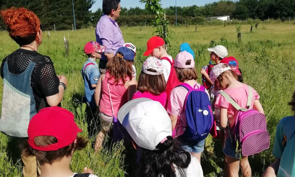 CEIP Menéndez Pelayo