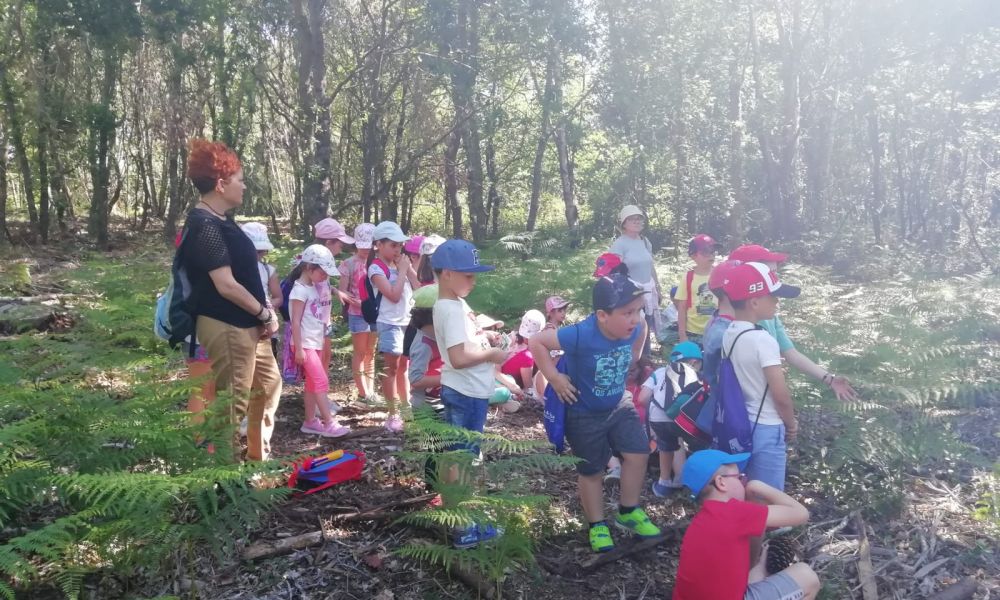 CEIP Menéndez Pelayo