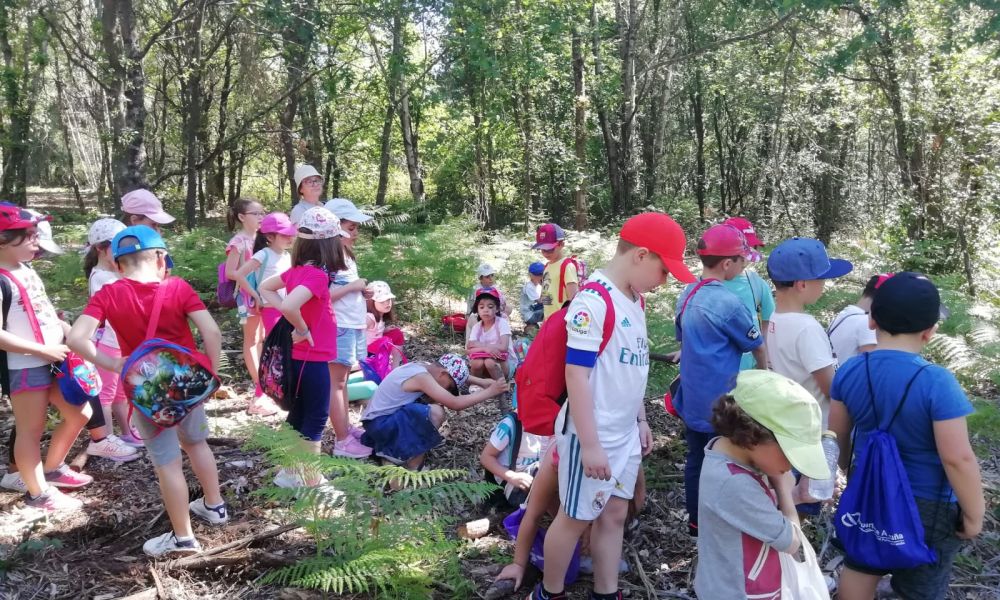 CEIP Menéndez Pelayo