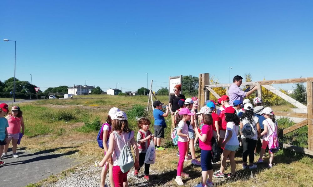 CEIP Menéndez Pelayo