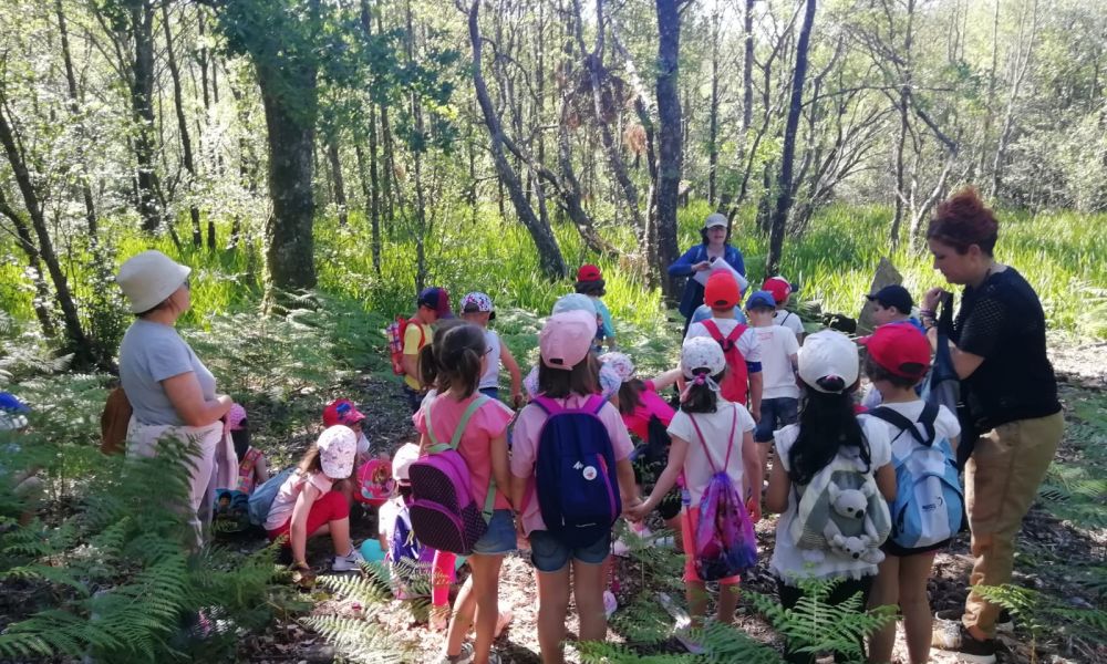 CEIP Menéndez Pelayo