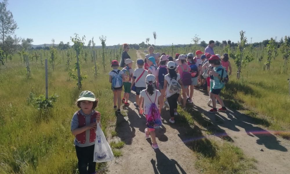 CEIP Menéndez Pelayo