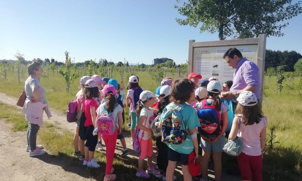 CEIP Menéndez Pelayo