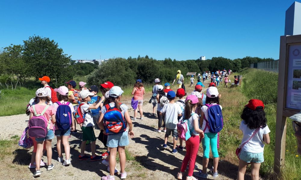 CEIP Menéndez Pelayo