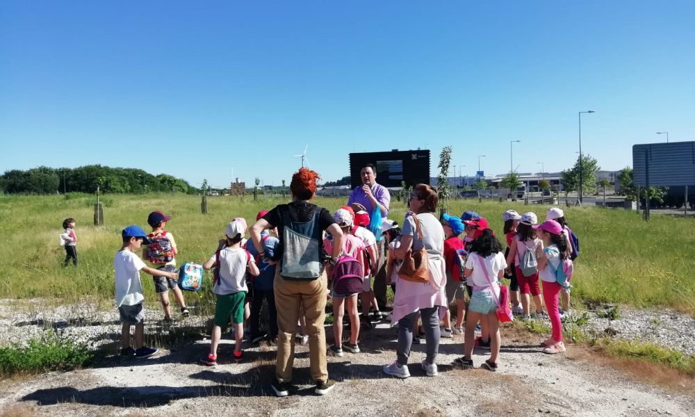 CEIP Menéndez Pelayo