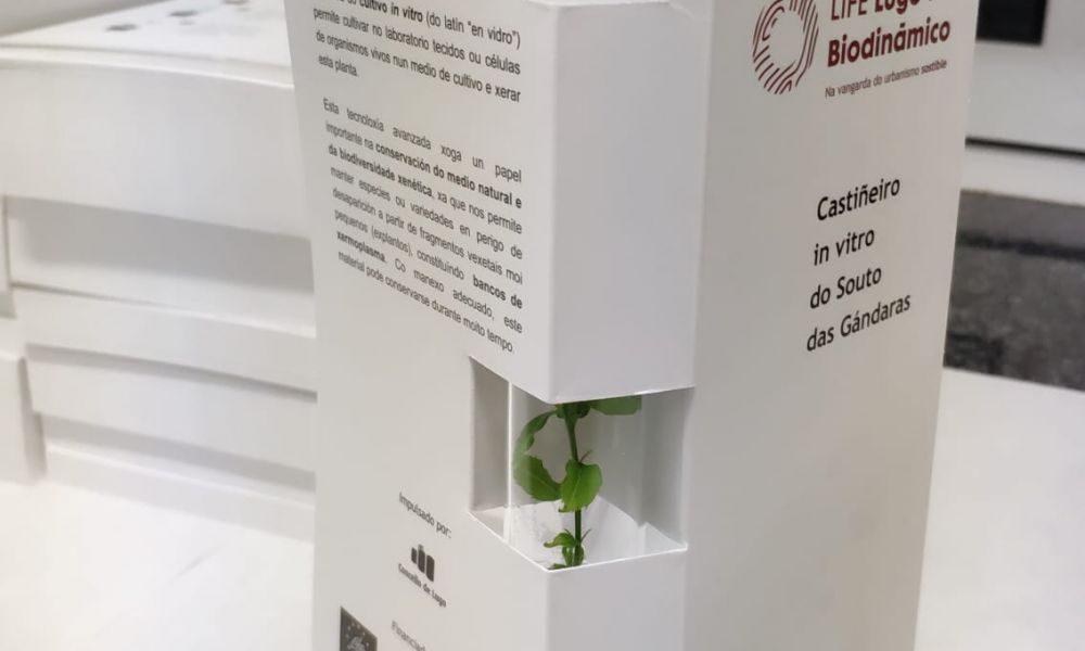 WhatsApp Image 2020-12-18 at 09.45.35 (2)