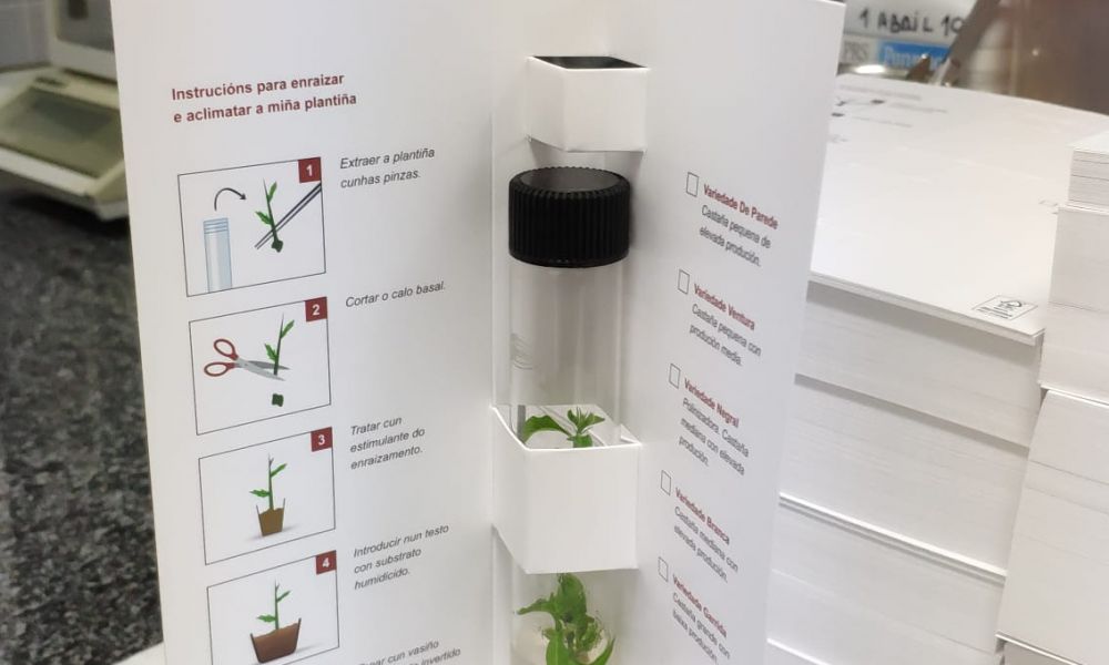 WhatsApp Image 2020-12-18 at 09.45.35 (3)