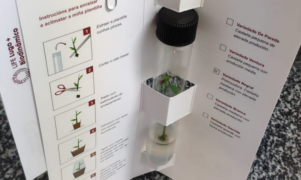 WhatsApp Image 2020-12-18 at 09.45.35