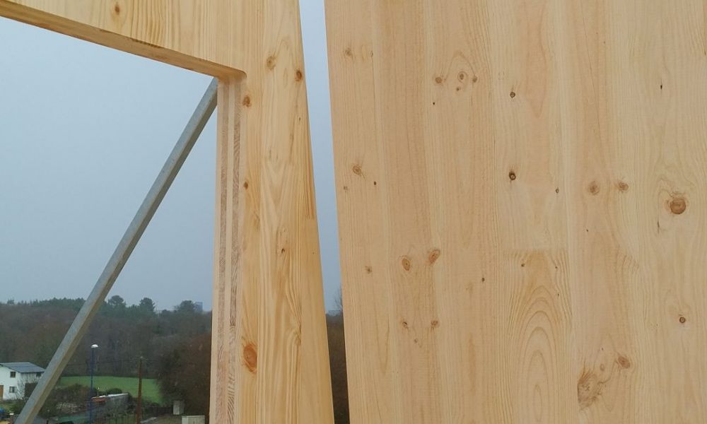 IMG_20210211_1259123