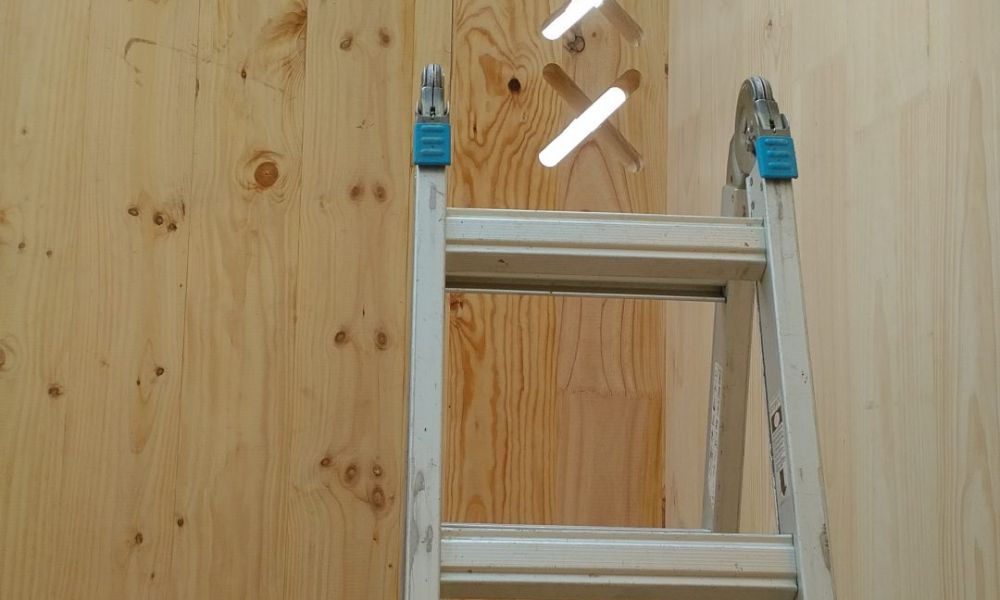 IMG_20210212_1244177