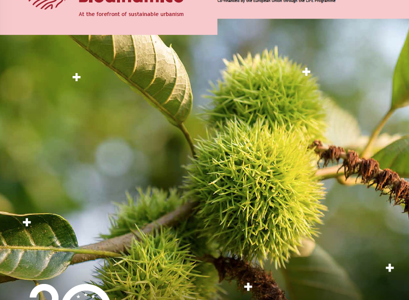 Captura de pantalla 2022-05-20 a las 12.40.27