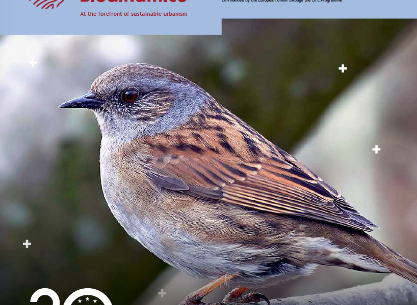 Captura de pantalla 2022-05-20 a las 12.40.44